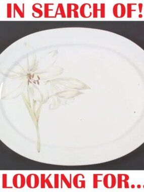 ISO Corelle White Flower Serving Platter